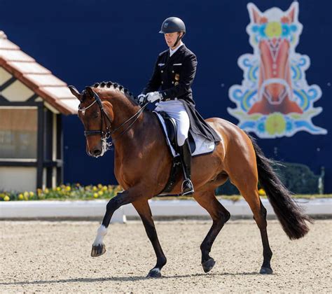 sönke rothenberger fendi|Sönke Rothenberger Rides 9YO Fendi to German  .